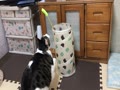 IMG_0200.MOV IMG_0200.MOV